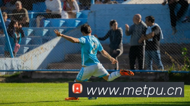 星空网官网免费入口平台生态图